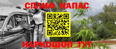 гашик Нальчик