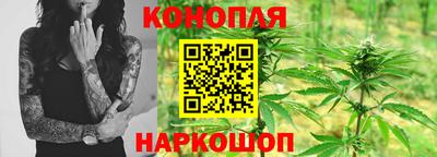 гашик Нальчик
