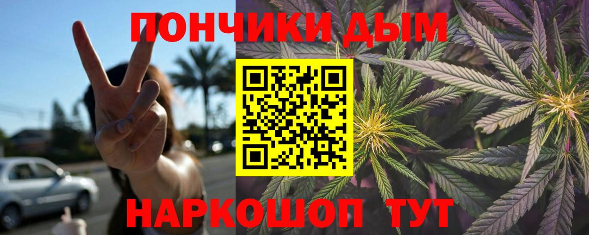 Бузулук  Бошки Шишки семена  Канабис планчик  Канабис ГИДРОПОН  Вход с VPN 
